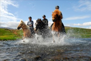 Horseback riding in Skagafjordur North Iceland