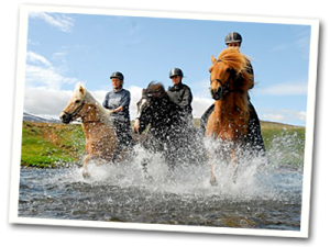 Horseback riding in Skagafjordur North Iceland