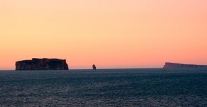 Visit Skagafjordur in North Iceland